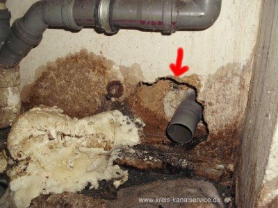 Kreis Kanalservice Rattenbefall Loch