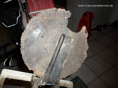 R�ckstauklappe Ratten 1